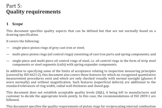 BS ISO 6621-5 pdf free download